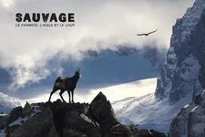 © Mountain Film - "Wild: The Chamois, the Eagle, and the Wolf" in Bessans - lapiedfilm