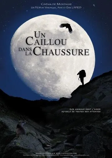 © Film de montagne - Un caillou dans la chaussure - lapiedfilm