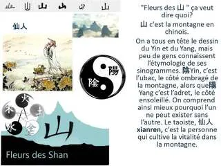© Plantes et énergétique chinoise - Marion Lett